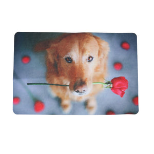 3D Simulation Dog Bathmat